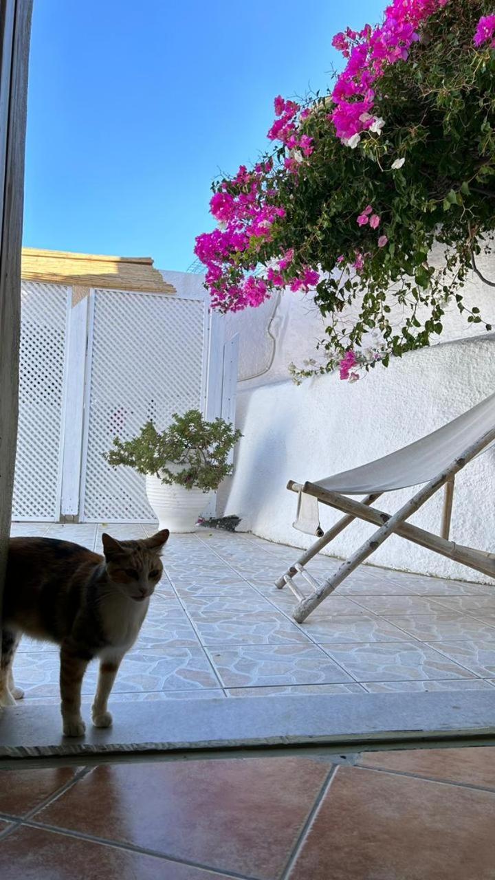 Palm Tree Hill Pensionat Oía Eksteriør billede